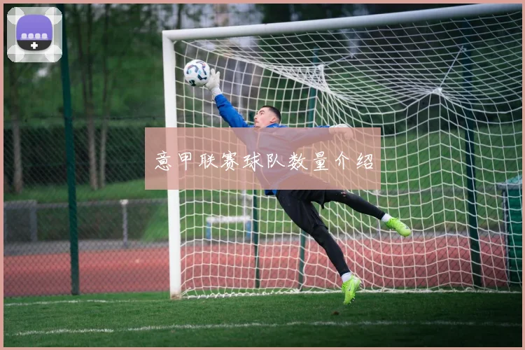 意甲联赛球队数量介绍