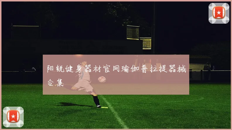 阳锐健身器材官网瑜伽普拉提器械合集